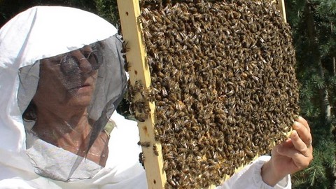 Notre Offre des meilleurs livres d'apiculture
